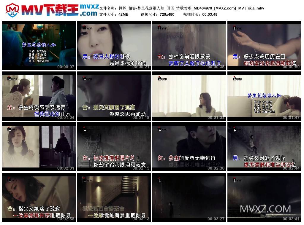 枫舞_相容-梦里花落谁人知_国语_情歌对唱_MB404970